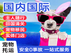 衢州机场快递国际宠物托运 【国